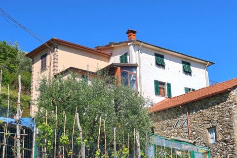 Villa a Tresana, Massa and Carrara, Tresana - € 75.000 | Ref: 390B-1372227 - foto 25