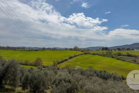 Gårdshus i Preselle, Grosseto, Preselle - € 1 650 000 | Ref: GRO304-1372547 - foto 11