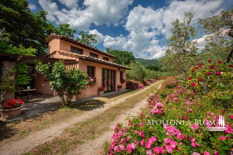 Farm hus i Cortona, Arezzo, Cortona - € 2.200.000 | Ref: COR1516-1372733 - foto 25