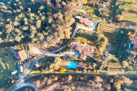 Gård i Amarante, Porto, Amarante - € 1 390 000 | Ref: 1132791 - foto 2