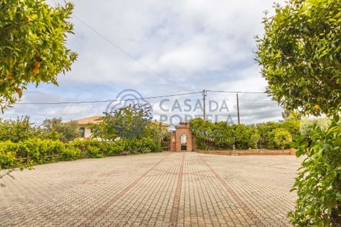 Dorpshuis in Vimioso, Braganca, Vimioso - € 498.000 | Ref: 1132241 - foto 13