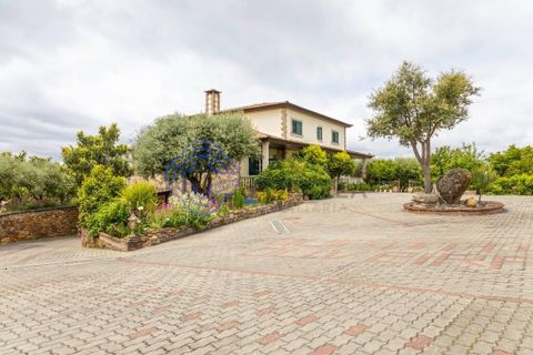 Dorpshuis in Vimioso, Braganca, Vimioso - € 498.000 | Ref: 1132241 - foto 15