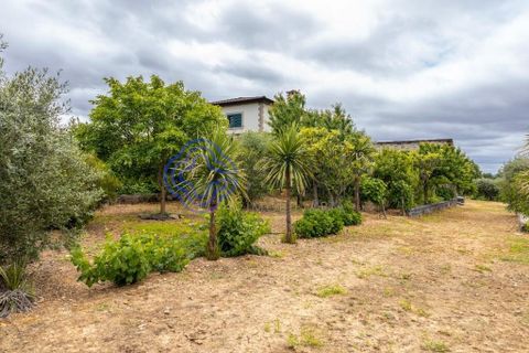 Dorpshuis in Vimioso, Braganca, Vimioso - € 498.000 | Ref: 1132241 - foto 28