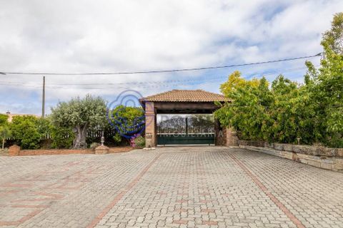 Dorpshuis in Vimioso, Braganca, Vimioso - € 498.000 | Ref: 1132241 - foto 32