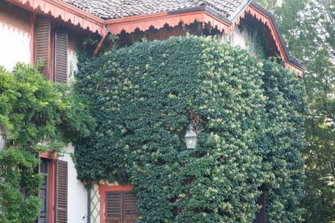 Villa a Molare, Alessandria, Molare - € 990.000 | Ref: CBI131-2181-1974 - foto 9
