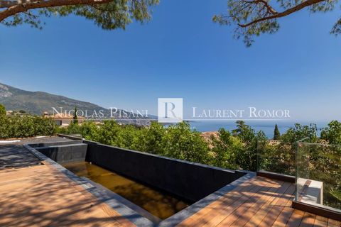 Villa i Roquebrune-Cap-Martin, Alpes-Maritimes, Roquebrune-Cap-Martin - € 7.500.000 | Ref: 87094654 VM P - foto 3