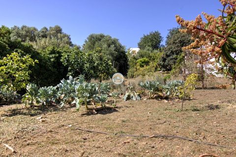 Gård i Olhao, Faro, Olhao - € 540 000 | Ref: 9TC4279 - foto 18