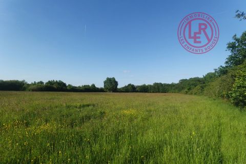 Masia a Viglain, Loiret, Viglain - € 495.000 | Ref: 87100630 - foto 19