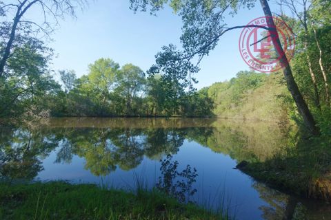 Masia a Viglain, Loiret, Viglain - € 495.000 | Ref: 87100630 - foto 20