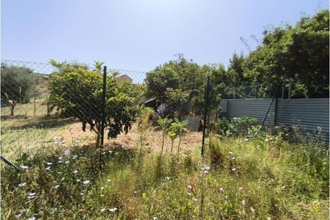 Helårsgrund i Camarate, Lisbon, Camarate - € 36.000 | Ref: TER_137 - foto 2