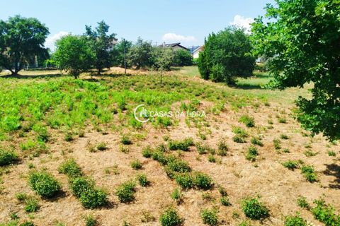 Helårsgrund i Viseu, Viseu, Viseu - € 95.000 | Ref: viseu/T/01876 - foto 3