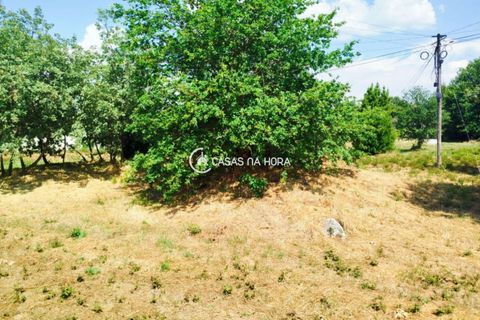 Helårsgrund i Viseu, Viseu, Viseu - € 95.000 | Ref: viseu/T/01876 - foto 6