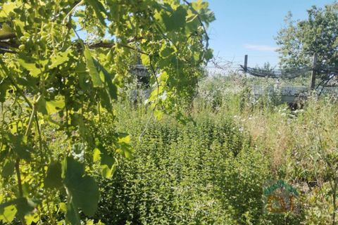Villa a Bagnaria Arsa, Udine, Bagnaria Arsa - € 69.000 | Ref: 3FRN69LC2 - foto 9