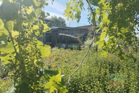 Villa a Bagnaria Arsa, Udine, Bagnaria Arsa - € 69.000 | Ref: 3FRN69LC2 - foto 11