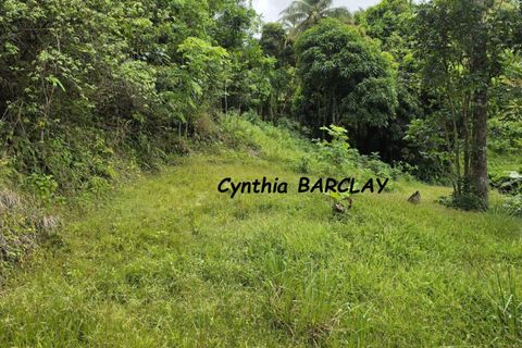 Helårsgrund i Sainte-Luce, Martinique, Sainte-Luce - € 228.900 | Ref: 3011433744 - foto 4