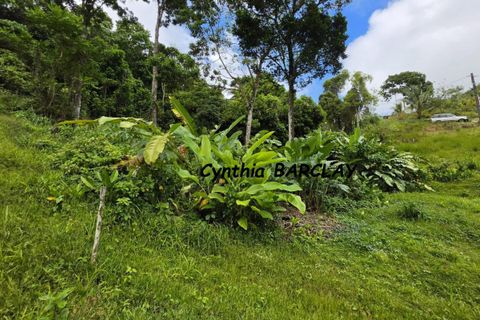 Helårsgrund i Sainte-Luce, Martinique, Sainte-Luce - € 228.900 | Ref: 3011433744 - foto 5