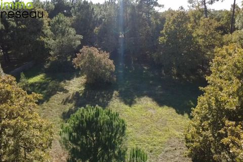 Grond in Lanton, Gironde, Lanton - € 375.000 | Ref: 3011444552 - foto 2