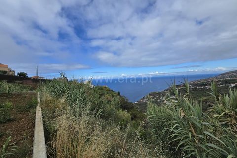 Haus in Calheta, Madeira, Calheta - € 1.950.000 | Ref: 081260124 - Foto 14