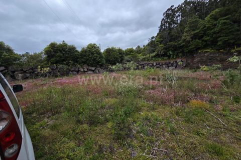 Helårsgrund i Lajes do Pico, Pico, Lajes do Pico - € 49.900 | Ref: 374260138 - foto 1