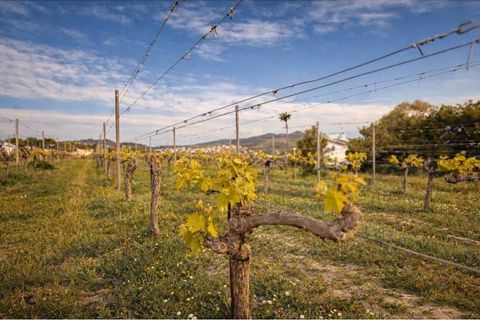 Finca i Benitachell, Alicante, Benitachell - € 1.240.000 | Ref: 18-44099 - foto 5