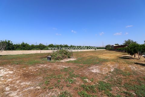 Landejendom i Benferri, Alicante, Benferri - € 350.000 | Ref: VRE-91678 - foto 48