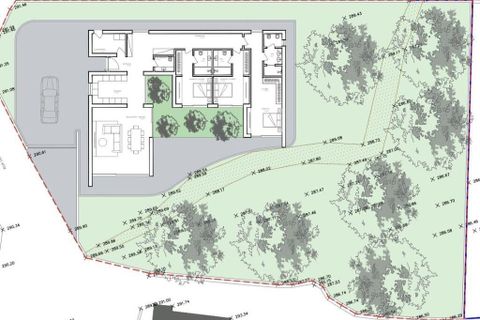 Terra a Paredes, Porto, Paredes - € 85.000 | Ref: 954991 - foto 4