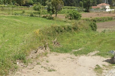 Terra a Paredes, Porto, Paredes - € 85.000 | Ref: 954991 - foto 5