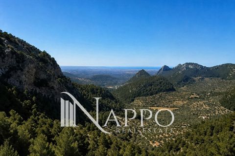 Villa i Bunyola, Mallorca, Bunyola - € 950.000 | Ref: 5156 - foto 2