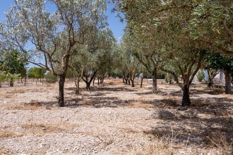 Masia a Salinas, Alicante, Salinas - € 299.000 | Ref: CF3353 - foto 11