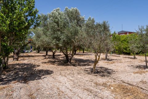 Masia a Salinas, Alicante, Salinas - € 299.000 | Ref: CF3353 - foto 12