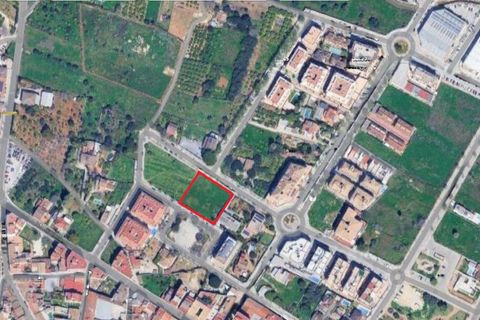 Terra a Pedreguer, Alicante - foto 1