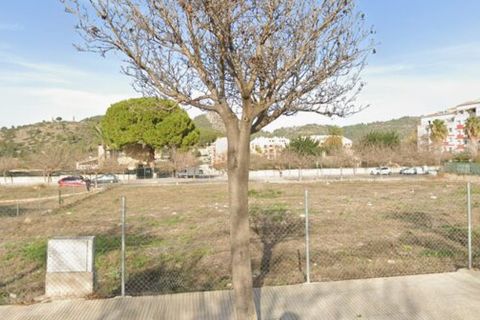 Terra a Pedreguer, Alicante - foto 2