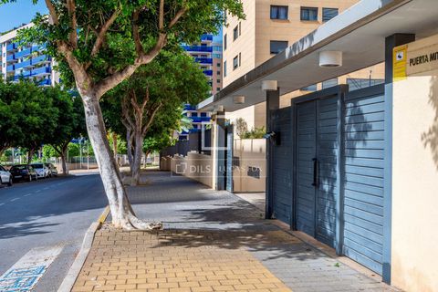 Lejlighed i Benidorm, Alicante, Benidorm - € 395.000 | Ref: ALT70630 - foto 31
