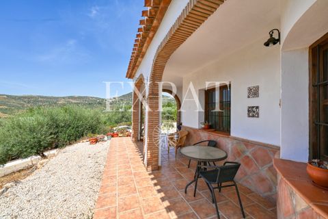 Landejendom i Periana, Malaga, Periana - € 364.000 | Ref: 0506 - foto 23