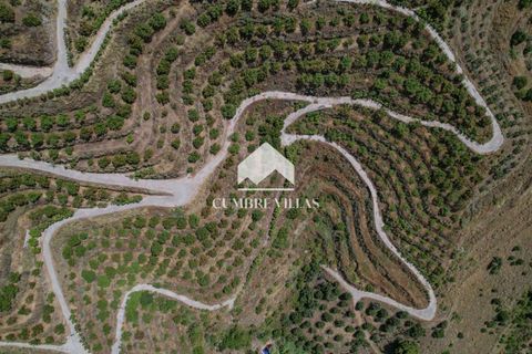 Landejendom i Almunecar, Granada, Almunecar - € 980.000 | Ref: 2253 - foto 47