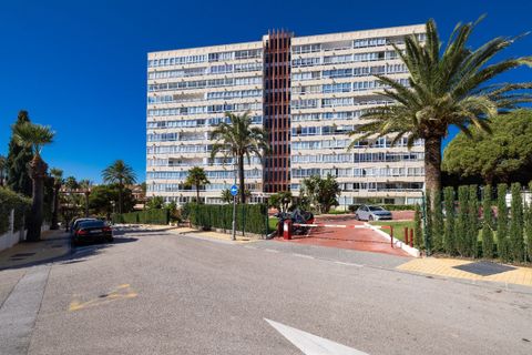 Apartament a Marbella, Malaga, Marbella - € 1.600/mes | Ref: R5422528 - foto 18