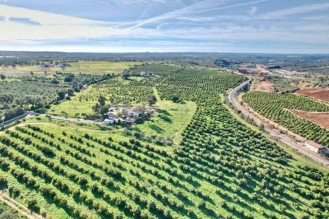 Villa i Estombar, Faro, Estombar - € 1.390.000 | Ref: FC1125VC - foto 32