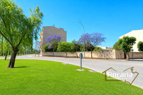 Tomt i Manacor, Mallorca - bilde 1
