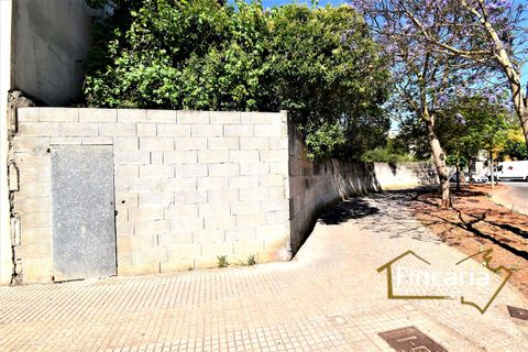 Tomt i Manacor, Mallorca - bilde 4