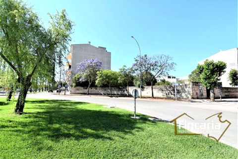 Tomt i Manacor, Mallorca, Manacor - € 375 000 | Ref: FM-1606 - foto 6