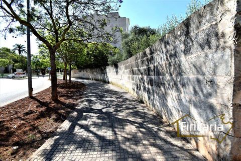 Tomt i Manacor, Mallorca, Manacor - € 375 000 | Ref: FM-1606 - foto 7