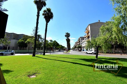 Tomt i Manacor, Mallorca, Manacor - € 375 000 | Ref: FM-1606 - foto 9