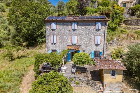 Landejendom i Borgo a Mozzano, Lucca, Borgo a Mozzano - € 270.000 | Ref: R07251BORU - foto 2