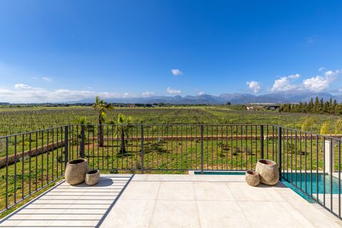 Villa i Binissalem, Mallorca, Binissalem - € 3.550.000 | Ref: 6308 - foto 19