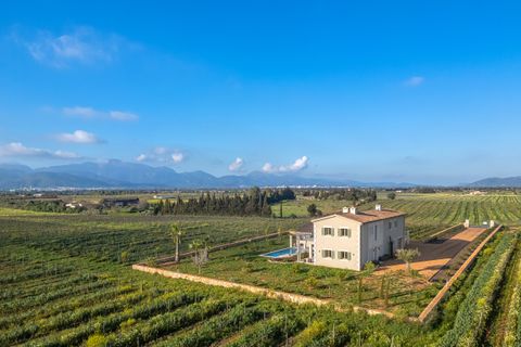 Villa i Binissalem, Mallorca, Binissalem - € 3.550.000 | Ref: 6308 - foto 3
