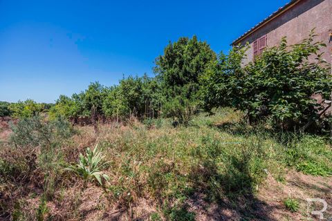 Gårdshus i Sorano, Grosseto, Sorano - € 160 000 | Ref: R07256SORU - foto 14