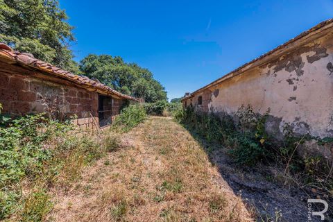 Gårdshus i Sorano, Grosseto, Sorano - € 160 000 | Ref: R07256SORU - foto 13
