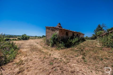 Gårdshus i Sorano, Grosseto, Sorano - € 160 000 | Ref: R07256SORU - foto 17