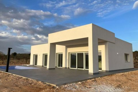Villa i Pinoso, Alicante, Pinoso - € 365.000 | Ref: 39817 - foto 12