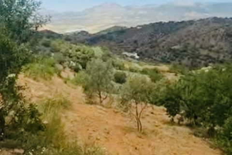 Landejendom i Colmenar, Malaga, Colmenar - € 69.000 | Ref: ID4467 - foto 6